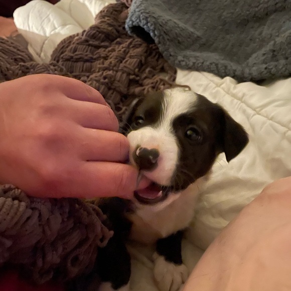 Love your life - Picture 9 of 13